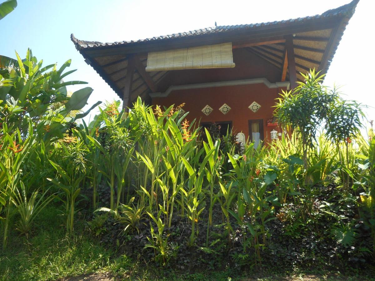 Cegeng Lestari Guesthouse 시데멘 외부 사진