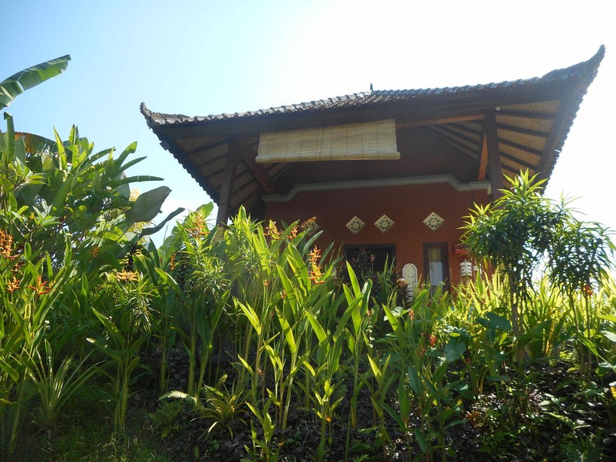 Cegeng Lestari Guesthouse 시데멘 외부 사진